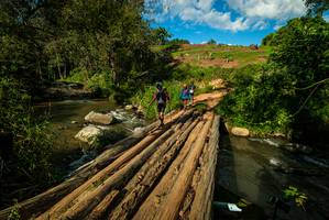 BIB: 
                            <button type="button" onclick="openModal(18942433)" class="btn btn-primary btn-sm float-right btn-popup" data-toggle="modal" data-target=".modal-high-quality">
                        <i class="fas fa-shopping-cart"></i> Add to Cart
                    </button>
                                            <button type="button" onclick="isThisMe(18942433, true)" class="btn btn-success btn-sm float-right btn-popup btn-isme hidden" data-toggle="tooltip" data-placement="bottom" title="นี่คือรูปของคุณใช่ไหม คลิกที่นี่เพื่อเอาเข้าอัลบั้ม">
                        <i class="fas fa-plus"></i> Add to album
                    </button>
                    <button type="button" onclick="isThisMe(18942433, false)" class="btn btn-warning btn-sm float-right btn-popup btn-isnotme hidden">
                        <i class="fas fa-ban"></i> Remove from album
                    </button>