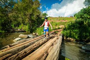 BIB: 
                            <button type="button" onclick="openModal(18939055)" class="btn btn-primary btn-sm float-right btn-popup" data-toggle="modal" data-target=".modal-high-quality">
                        <i class="fas fa-shopping-cart"></i> Add to Cart
                    </button>
                                            <button type="button" onclick="isThisMe(18939055, true)" class="btn btn-success btn-sm float-right btn-popup btn-isme hidden" data-toggle="tooltip" data-placement="bottom" title="นี่คือรูปของคุณใช่ไหม คลิกที่นี่เพื่อเอาเข้าอัลบั้ม">
                        <i class="fas fa-plus"></i> Add to album
                    </button>
                    <button type="button" onclick="isThisMe(18939055, false)" class="btn btn-warning btn-sm float-right btn-popup btn-isnotme hidden">
                        <i class="fas fa-ban"></i> Remove from album
                    </button>