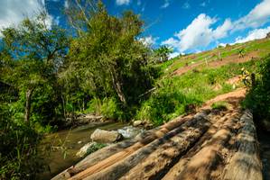 BIB: 
                            <button type="button" onclick="openModal(18941682)" class="btn btn-primary btn-sm float-right btn-popup" data-toggle="modal" data-target=".modal-high-quality">
                        <i class="fas fa-shopping-cart"></i> Add to Cart
                    </button>
                                            <button type="button" onclick="isThisMe(18941682, true)" class="btn btn-success btn-sm float-right btn-popup btn-isme hidden" data-toggle="tooltip" data-placement="bottom" title="นี่คือรูปของคุณใช่ไหม คลิกที่นี่เพื่อเอาเข้าอัลบั้ม">
                        <i class="fas fa-plus"></i> Add to album
                    </button>
                    <button type="button" onclick="isThisMe(18941682, false)" class="btn btn-warning btn-sm float-right btn-popup btn-isnotme hidden">
                        <i class="fas fa-ban"></i> Remove from album
                    </button>