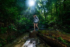 BIB: 
                            <button type="button" onclick="openModal(18936331)" class="btn btn-primary btn-sm float-right btn-popup" data-toggle="modal" data-target=".modal-high-quality">
                        <i class="fas fa-shopping-cart"></i> Add to Cart
                    </button>
                                            <button type="button" onclick="isThisMe(18936331, true)" class="btn btn-success btn-sm float-right btn-popup btn-isme hidden" data-toggle="tooltip" data-placement="bottom" title="นี่คือรูปของคุณใช่ไหม คลิกที่นี่เพื่อเอาเข้าอัลบั้ม">
                        <i class="fas fa-plus"></i> Add to album
                    </button>
                    <button type="button" onclick="isThisMe(18936331, false)" class="btn btn-warning btn-sm float-right btn-popup btn-isnotme hidden">
                        <i class="fas fa-ban"></i> Remove from album
                    </button>