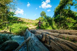 BIB: 
                            <button type="button" onclick="openModal(18943285)" class="btn btn-primary btn-sm float-right btn-popup" data-toggle="modal" data-target=".modal-high-quality">
                        <i class="fas fa-shopping-cart"></i> Add to Cart
                    </button>
                                            <button type="button" onclick="isThisMe(18943285, true)" class="btn btn-success btn-sm float-right btn-popup btn-isme hidden" data-toggle="tooltip" data-placement="bottom" title="นี่คือรูปของคุณใช่ไหม คลิกที่นี่เพื่อเอาเข้าอัลบั้ม">
                        <i class="fas fa-plus"></i> Add to album
                    </button>
                    <button type="button" onclick="isThisMe(18943285, false)" class="btn btn-warning btn-sm float-right btn-popup btn-isnotme hidden">
                        <i class="fas fa-ban"></i> Remove from album
                    </button>