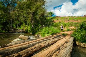 BIB: 
                            <button type="button" onclick="openModal(18941758)" class="btn btn-primary btn-sm float-right btn-popup" data-toggle="modal" data-target=".modal-high-quality">
                        <i class="fas fa-shopping-cart"></i> Add to Cart
                    </button>
                                            <button type="button" onclick="isThisMe(18941758, true)" class="btn btn-success btn-sm float-right btn-popup btn-isme hidden" data-toggle="tooltip" data-placement="bottom" title="นี่คือรูปของคุณใช่ไหม คลิกที่นี่เพื่อเอาเข้าอัลบั้ม">
                        <i class="fas fa-plus"></i> Add to album
                    </button>
                    <button type="button" onclick="isThisMe(18941758, false)" class="btn btn-warning btn-sm float-right btn-popup btn-isnotme hidden">
                        <i class="fas fa-ban"></i> Remove from album
                    </button>