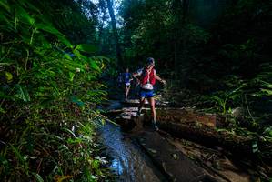 BIB: 
                            <button type="button" onclick="openModal(18937306)" class="btn btn-primary btn-sm float-right btn-popup" data-toggle="modal" data-target=".modal-high-quality">
                        <i class="fas fa-shopping-cart"></i> Add to Cart
                    </button>
                                            <button type="button" onclick="isThisMe(18937306, true)" class="btn btn-success btn-sm float-right btn-popup btn-isme hidden" data-toggle="tooltip" data-placement="bottom" title="นี่คือรูปของคุณใช่ไหม คลิกที่นี่เพื่อเอาเข้าอัลบั้ม">
                        <i class="fas fa-plus"></i> Add to album
                    </button>
                    <button type="button" onclick="isThisMe(18937306, false)" class="btn btn-warning btn-sm float-right btn-popup btn-isnotme hidden">
                        <i class="fas fa-ban"></i> Remove from album
                    </button>