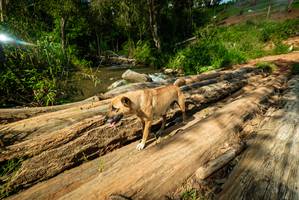 BIB: 
                            <button type="button" onclick="openModal(18941602)" class="btn btn-primary btn-sm float-right btn-popup" data-toggle="modal" data-target=".modal-high-quality">
                        <i class="fas fa-shopping-cart"></i> Add to Cart
                    </button>
                                            <button type="button" onclick="isThisMe(18941602, true)" class="btn btn-success btn-sm float-right btn-popup btn-isme hidden" data-toggle="tooltip" data-placement="bottom" title="นี่คือรูปของคุณใช่ไหม คลิกที่นี่เพื่อเอาเข้าอัลบั้ม">
                        <i class="fas fa-plus"></i> Add to album
                    </button>
                    <button type="button" onclick="isThisMe(18941602, false)" class="btn btn-warning btn-sm float-right btn-popup btn-isnotme hidden">
                        <i class="fas fa-ban"></i> Remove from album
                    </button>