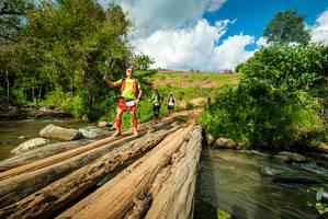 BIB: 
                            <button type="button" onclick="openModal(18940761)" class="btn btn-primary btn-sm float-right btn-popup" data-toggle="modal" data-target=".modal-high-quality">
                        <i class="fas fa-shopping-cart"></i> Add to Cart
                    </button>
                                            <button type="button" onclick="isThisMe(18940761, true)" class="btn btn-success btn-sm float-right btn-popup btn-isme hidden" data-toggle="tooltip" data-placement="bottom" title="นี่คือรูปของคุณใช่ไหม คลิกที่นี่เพื่อเอาเข้าอัลบั้ม">
                        <i class="fas fa-plus"></i> Add to album
                    </button>
                    <button type="button" onclick="isThisMe(18940761, false)" class="btn btn-warning btn-sm float-right btn-popup btn-isnotme hidden">
                        <i class="fas fa-ban"></i> Remove from album
                    </button>