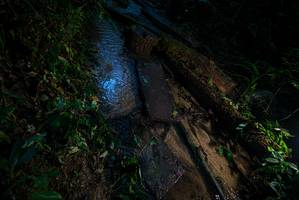 BIB: 
                            <button type="button" onclick="openModal(18940363)" class="btn btn-primary btn-sm float-right btn-popup" data-toggle="modal" data-target=".modal-high-quality">
                        <i class="fas fa-shopping-cart"></i> Add to Cart
                    </button>
                                            <button type="button" onclick="isThisMe(18940363, true)" class="btn btn-success btn-sm float-right btn-popup btn-isme hidden" data-toggle="tooltip" data-placement="bottom" title="นี่คือรูปของคุณใช่ไหม คลิกที่นี่เพื่อเอาเข้าอัลบั้ม">
                        <i class="fas fa-plus"></i> Add to album
                    </button>
                    <button type="button" onclick="isThisMe(18940363, false)" class="btn btn-warning btn-sm float-right btn-popup btn-isnotme hidden">
                        <i class="fas fa-ban"></i> Remove from album
                    </button>