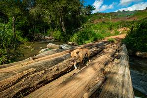 BIB: 
                            <button type="button" onclick="openModal(18941595)" class="btn btn-primary btn-sm float-right btn-popup" data-toggle="modal" data-target=".modal-high-quality">
                        <i class="fas fa-shopping-cart"></i> Add to Cart
                    </button>
                                            <button type="button" onclick="isThisMe(18941595, true)" class="btn btn-success btn-sm float-right btn-popup btn-isme hidden" data-toggle="tooltip" data-placement="bottom" title="นี่คือรูปของคุณใช่ไหม คลิกที่นี่เพื่อเอาเข้าอัลบั้ม">
                        <i class="fas fa-plus"></i> Add to album
                    </button>
                    <button type="button" onclick="isThisMe(18941595, false)" class="btn btn-warning btn-sm float-right btn-popup btn-isnotme hidden">
                        <i class="fas fa-ban"></i> Remove from album
                    </button>