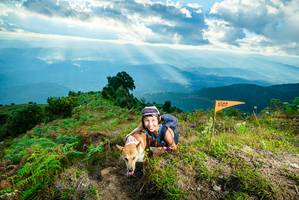 BIB: 
                            <button type="button" onclick="openModal(19091256)" class="btn btn-primary btn-sm float-right btn-popup" data-toggle="modal" data-target=".modal-high-quality">
                        <i class="fas fa-shopping-cart"></i> Add to Cart
                    </button>
                                            <button type="button" onclick="isThisMe(19091256, true)" class="btn btn-success btn-sm float-right btn-popup btn-isme hidden" data-toggle="tooltip" data-placement="bottom" title="นี่คือรูปของคุณใช่ไหม คลิกที่นี่เพื่อเอาเข้าอัลบั้ม">
                        <i class="fas fa-plus"></i> Add to album
                    </button>
                    <button type="button" onclick="isThisMe(19091256, false)" class="btn btn-warning btn-sm float-right btn-popup btn-isnotme hidden">
                        <i class="fas fa-ban"></i> Remove from album
                    </button>