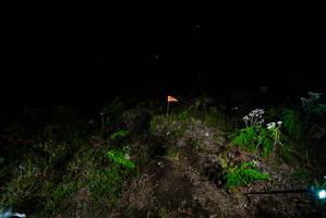 BIB: 
                            <button type="button" onclick="openModal(19095435)" class="btn btn-primary btn-sm float-right btn-popup" data-toggle="modal" data-target=".modal-high-quality">
                        <i class="fas fa-shopping-cart"></i> Add to Cart
                    </button>
                                            <button type="button" onclick="isThisMe(19095435, true)" class="btn btn-success btn-sm float-right btn-popup btn-isme hidden" data-toggle="tooltip" data-placement="bottom" title="นี่คือรูปของคุณใช่ไหม คลิกที่นี่เพื่อเอาเข้าอัลบั้ม">
                        <i class="fas fa-plus"></i> Add to album
                    </button>
                    <button type="button" onclick="isThisMe(19095435, false)" class="btn btn-warning btn-sm float-right btn-popup btn-isnotme hidden">
                        <i class="fas fa-ban"></i> Remove from album
                    </button>