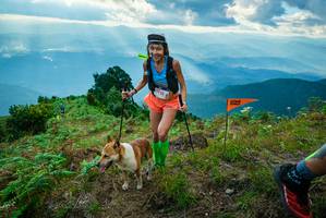 BIB: 15423
                            <button type="button" onclick="openModal(19091254)" class="btn btn-primary btn-sm float-right btn-popup" data-toggle="modal" data-target=".modal-high-quality">
                        <i class="fas fa-shopping-cart"></i> Add to Cart
                    </button>
                                            <button type="button" onclick="isThisMe(19091254, true)" class="btn btn-success btn-sm float-right btn-popup btn-isme hidden" data-toggle="tooltip" data-placement="bottom" title="นี่คือรูปของคุณใช่ไหม คลิกที่นี่เพื่อเอาเข้าอัลบั้ม">
                        <i class="fas fa-plus"></i> Add to album
                    </button>
                    <button type="button" onclick="isThisMe(19091254, false)" class="btn btn-warning btn-sm float-right btn-popup btn-isnotme hidden">
                        <i class="fas fa-ban"></i> Remove from album
                    </button>