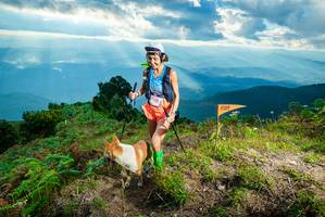 BIB: 
                            <button type="button" onclick="openModal(19091259)" class="btn btn-primary btn-sm float-right btn-popup" data-toggle="modal" data-target=".modal-high-quality">
                        <i class="fas fa-shopping-cart"></i> Add to Cart
                    </button>
                                            <button type="button" onclick="isThisMe(19091259, true)" class="btn btn-success btn-sm float-right btn-popup btn-isme hidden" data-toggle="tooltip" data-placement="bottom" title="นี่คือรูปของคุณใช่ไหม คลิกที่นี่เพื่อเอาเข้าอัลบั้ม">
                        <i class="fas fa-plus"></i> Add to album
                    </button>
                    <button type="button" onclick="isThisMe(19091259, false)" class="btn btn-warning btn-sm float-right btn-popup btn-isnotme hidden">
                        <i class="fas fa-ban"></i> Remove from album
                    </button>