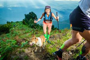 BIB: 
                            <button type="button" onclick="openModal(19091248)" class="btn btn-primary btn-sm float-right btn-popup" data-toggle="modal" data-target=".modal-high-quality">
                        <i class="fas fa-shopping-cart"></i> Add to Cart
                    </button>
                                            <button type="button" onclick="isThisMe(19091248, true)" class="btn btn-success btn-sm float-right btn-popup btn-isme hidden" data-toggle="tooltip" data-placement="bottom" title="นี่คือรูปของคุณใช่ไหม คลิกที่นี่เพื่อเอาเข้าอัลบั้ม">
                        <i class="fas fa-plus"></i> Add to album
                    </button>
                    <button type="button" onclick="isThisMe(19091248, false)" class="btn btn-warning btn-sm float-right btn-popup btn-isnotme hidden">
                        <i class="fas fa-ban"></i> Remove from album
                    </button>