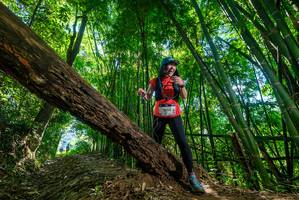 BIB: 2000
                            <button type="button" onclick="openModal(19067792)" class="btn btn-primary btn-sm float-right btn-popup" data-toggle="modal" data-target=".modal-high-quality">
                        <i class="fas fa-shopping-cart"></i> Add to Cart
                    </button>
                                            <button type="button" onclick="isThisMe(19067792, true)" class="btn btn-success btn-sm float-right btn-popup btn-isme hidden" data-toggle="tooltip" data-placement="bottom" title="นี่คือรูปของคุณใช่ไหม คลิกที่นี่เพื่อเอาเข้าอัลบั้ม">
                        <i class="fas fa-plus"></i> Add to album
                    </button>
                    <button type="button" onclick="isThisMe(19067792, false)" class="btn btn-warning btn-sm float-right btn-popup btn-isnotme hidden">
                        <i class="fas fa-ban"></i> Remove from album
                    </button>