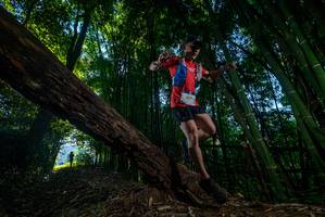 BIB: 2079
                            <button type="button" onclick="openModal(18990954)" class="btn btn-primary btn-sm float-right btn-popup" data-toggle="modal" data-target=".modal-high-quality">
                        <i class="fas fa-shopping-cart"></i> Add to Cart
                    </button>
                                            <button type="button" onclick="isThisMe(18990954, true)" class="btn btn-success btn-sm float-right btn-popup btn-isme hidden" data-toggle="tooltip" data-placement="bottom" title="นี่คือรูปของคุณใช่ไหม คลิกที่นี่เพื่อเอาเข้าอัลบั้ม">
                        <i class="fas fa-plus"></i> Add to album
                    </button>
                    <button type="button" onclick="isThisMe(18990954, false)" class="btn btn-warning btn-sm float-right btn-popup btn-isnotme hidden">
                        <i class="fas fa-ban"></i> Remove from album
                    </button>