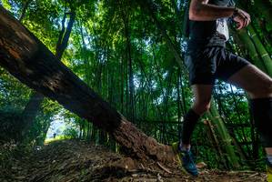 BIB: 
                            <button type="button" onclick="openModal(18991664)" class="btn btn-primary btn-sm float-right btn-popup" data-toggle="modal" data-target=".modal-high-quality">
                        <i class="fas fa-shopping-cart"></i> Add to Cart
                    </button>
                                            <button type="button" onclick="isThisMe(18991664, true)" class="btn btn-success btn-sm float-right btn-popup btn-isme hidden" data-toggle="tooltip" data-placement="bottom" title="นี่คือรูปของคุณใช่ไหม คลิกที่นี่เพื่อเอาเข้าอัลบั้ม">
                        <i class="fas fa-plus"></i> Add to album
                    </button>
                    <button type="button" onclick="isThisMe(18991664, false)" class="btn btn-warning btn-sm float-right btn-popup btn-isnotme hidden">
                        <i class="fas fa-ban"></i> Remove from album
                    </button>