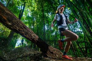 BIB: 
                            <button type="button" onclick="openModal(18997835)" class="btn btn-primary btn-sm float-right btn-popup" data-toggle="modal" data-target=".modal-high-quality">
                        <i class="fas fa-shopping-cart"></i> Add to Cart
                    </button>
                                            <button type="button" onclick="isThisMe(18997835, true)" class="btn btn-success btn-sm float-right btn-popup btn-isme hidden" data-toggle="tooltip" data-placement="bottom" title="นี่คือรูปของคุณใช่ไหม คลิกที่นี่เพื่อเอาเข้าอัลบั้ม">
                        <i class="fas fa-plus"></i> Add to album
                    </button>
                    <button type="button" onclick="isThisMe(18997835, false)" class="btn btn-warning btn-sm float-right btn-popup btn-isnotme hidden">
                        <i class="fas fa-ban"></i> Remove from album
                    </button>