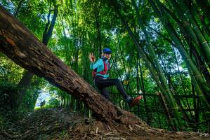 BIB: 
                            <button type="button" onclick="openModal(19000424)" class="btn btn-primary btn-sm float-right btn-popup" data-toggle="modal" data-target=".modal-high-quality">
                        <i class="fas fa-shopping-cart"></i> Add to Cart
                    </button>
                                            <button type="button" onclick="isThisMe(19000424, true)" class="btn btn-success btn-sm float-right btn-popup btn-isme hidden" data-toggle="tooltip" data-placement="bottom" title="นี่คือรูปของคุณใช่ไหม คลิกที่นี่เพื่อเอาเข้าอัลบั้ม">
                        <i class="fas fa-plus"></i> Add to album
                    </button>
                    <button type="button" onclick="isThisMe(19000424, false)" class="btn btn-warning btn-sm float-right btn-popup btn-isnotme hidden">
                        <i class="fas fa-ban"></i> Remove from album
                    </button>