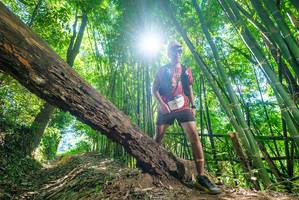 BIB: 433
                            <button type="button" onclick="openModal(19071726)" class="btn btn-primary btn-sm float-right btn-popup" data-toggle="modal" data-target=".modal-high-quality">
                        <i class="fas fa-shopping-cart"></i> Add to Cart
                    </button>
                                            <button type="button" onclick="isThisMe(19071726, true)" class="btn btn-success btn-sm float-right btn-popup btn-isme hidden" data-toggle="tooltip" data-placement="bottom" title="นี่คือรูปของคุณใช่ไหม คลิกที่นี่เพื่อเอาเข้าอัลบั้ม">
                        <i class="fas fa-plus"></i> Add to album
                    </button>
                    <button type="button" onclick="isThisMe(19071726, false)" class="btn btn-warning btn-sm float-right btn-popup btn-isnotme hidden">
                        <i class="fas fa-ban"></i> Remove from album
                    </button>