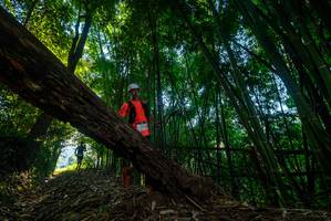 BIB: 
                            <button type="button" onclick="openModal(18989601)" class="btn btn-primary btn-sm float-right btn-popup" data-toggle="modal" data-target=".modal-high-quality">
                        <i class="fas fa-shopping-cart"></i> Add to Cart
                    </button>
                                            <button type="button" onclick="isThisMe(18989601, true)" class="btn btn-success btn-sm float-right btn-popup btn-isme hidden" data-toggle="tooltip" data-placement="bottom" title="นี่คือรูปของคุณใช่ไหม คลิกที่นี่เพื่อเอาเข้าอัลบั้ม">
                        <i class="fas fa-plus"></i> Add to album
                    </button>
                    <button type="button" onclick="isThisMe(18989601, false)" class="btn btn-warning btn-sm float-right btn-popup btn-isnotme hidden">
                        <i class="fas fa-ban"></i> Remove from album
                    </button>