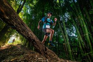 BIB: 
                            <button type="button" onclick="openModal(18986255)" class="btn btn-primary btn-sm float-right btn-popup" data-toggle="modal" data-target=".modal-high-quality">
                        <i class="fas fa-shopping-cart"></i> Add to Cart
                    </button>
                                            <button type="button" onclick="isThisMe(18986255, true)" class="btn btn-success btn-sm float-right btn-popup btn-isme hidden" data-toggle="tooltip" data-placement="bottom" title="นี่คือรูปของคุณใช่ไหม คลิกที่นี่เพื่อเอาเข้าอัลบั้ม">
                        <i class="fas fa-plus"></i> Add to album
                    </button>
                    <button type="button" onclick="isThisMe(18986255, false)" class="btn btn-warning btn-sm float-right btn-popup btn-isnotme hidden">
                        <i class="fas fa-ban"></i> Remove from album
                    </button>