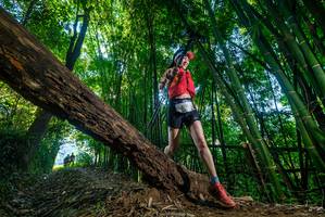 BIB: 
                            <button type="button" onclick="openModal(18997437)" class="btn btn-primary btn-sm float-right btn-popup" data-toggle="modal" data-target=".modal-high-quality">
                        <i class="fas fa-shopping-cart"></i> Add to Cart
                    </button>
                                            <button type="button" onclick="isThisMe(18997437, true)" class="btn btn-success btn-sm float-right btn-popup btn-isme hidden" data-toggle="tooltip" data-placement="bottom" title="นี่คือรูปของคุณใช่ไหม คลิกที่นี่เพื่อเอาเข้าอัลบั้ม">
                        <i class="fas fa-plus"></i> Add to album
                    </button>
                    <button type="button" onclick="isThisMe(18997437, false)" class="btn btn-warning btn-sm float-right btn-popup btn-isnotme hidden">
                        <i class="fas fa-ban"></i> Remove from album
                    </button>