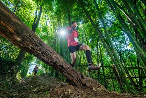 BIB: 
                            <button type="button" onclick="openModal(19056865)" class="btn btn-primary btn-sm float-right btn-popup" data-toggle="modal" data-target=".modal-high-quality">
                        <i class="fas fa-shopping-cart"></i> Add to Cart
                    </button>
                                            <button type="button" onclick="isThisMe(19056865, true)" class="btn btn-success btn-sm float-right btn-popup btn-isme hidden" data-toggle="tooltip" data-placement="bottom" title="นี่คือรูปของคุณใช่ไหม คลิกที่นี่เพื่อเอาเข้าอัลบั้ม">
                        <i class="fas fa-plus"></i> Add to album
                    </button>
                    <button type="button" onclick="isThisMe(19056865, false)" class="btn btn-warning btn-sm float-right btn-popup btn-isnotme hidden">
                        <i class="fas fa-ban"></i> Remove from album
                    </button>