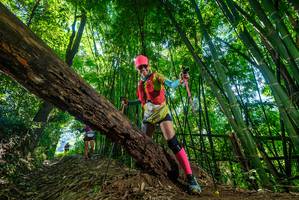 BIB: 
                            <button type="button" onclick="openModal(19065208)" class="btn btn-primary btn-sm float-right btn-popup" data-toggle="modal" data-target=".modal-high-quality">
                        <i class="fas fa-shopping-cart"></i> Add to Cart
                    </button>
                                            <button type="button" onclick="isThisMe(19065208, true)" class="btn btn-success btn-sm float-right btn-popup btn-isme hidden" data-toggle="tooltip" data-placement="bottom" title="นี่คือรูปของคุณใช่ไหม คลิกที่นี่เพื่อเอาเข้าอัลบั้ม">
                        <i class="fas fa-plus"></i> Add to album
                    </button>
                    <button type="button" onclick="isThisMe(19065208, false)" class="btn btn-warning btn-sm float-right btn-popup btn-isnotme hidden">
                        <i class="fas fa-ban"></i> Remove from album
                    </button>