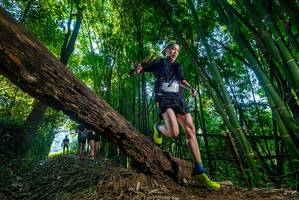 BIB: 
                            <button type="button" onclick="openModal(18997534)" class="btn btn-primary btn-sm float-right btn-popup" data-toggle="modal" data-target=".modal-high-quality">
                        <i class="fas fa-shopping-cart"></i> Add to Cart
                    </button>
                                            <button type="button" onclick="isThisMe(18997534, true)" class="btn btn-success btn-sm float-right btn-popup btn-isme hidden" data-toggle="tooltip" data-placement="bottom" title="นี่คือรูปของคุณใช่ไหม คลิกที่นี่เพื่อเอาเข้าอัลบั้ม">
                        <i class="fas fa-plus"></i> Add to album
                    </button>
                    <button type="button" onclick="isThisMe(18997534, false)" class="btn btn-warning btn-sm float-right btn-popup btn-isnotme hidden">
                        <i class="fas fa-ban"></i> Remove from album
                    </button>