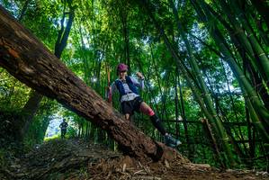 BIB: 
                            <button type="button" onclick="openModal(18997914)" class="btn btn-primary btn-sm float-right btn-popup" data-toggle="modal" data-target=".modal-high-quality">
                        <i class="fas fa-shopping-cart"></i> Add to Cart
                    </button>
                                            <button type="button" onclick="isThisMe(18997914, true)" class="btn btn-success btn-sm float-right btn-popup btn-isme hidden" data-toggle="tooltip" data-placement="bottom" title="นี่คือรูปของคุณใช่ไหม คลิกที่นี่เพื่อเอาเข้าอัลบั้ม">
                        <i class="fas fa-plus"></i> Add to album
                    </button>
                    <button type="button" onclick="isThisMe(18997914, false)" class="btn btn-warning btn-sm float-right btn-popup btn-isnotme hidden">
                        <i class="fas fa-ban"></i> Remove from album
                    </button>