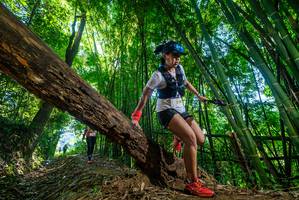 BIB: 
                            <button type="button" onclick="openModal(19056075)" class="btn btn-primary btn-sm float-right btn-popup" data-toggle="modal" data-target=".modal-high-quality">
                        <i class="fas fa-shopping-cart"></i> Add to Cart
                    </button>
                                            <button type="button" onclick="isThisMe(19056075, true)" class="btn btn-success btn-sm float-right btn-popup btn-isme hidden" data-toggle="tooltip" data-placement="bottom" title="นี่คือรูปของคุณใช่ไหม คลิกที่นี่เพื่อเอาเข้าอัลบั้ม">
                        <i class="fas fa-plus"></i> Add to album
                    </button>
                    <button type="button" onclick="isThisMe(19056075, false)" class="btn btn-warning btn-sm float-right btn-popup btn-isnotme hidden">
                        <i class="fas fa-ban"></i> Remove from album
                    </button>