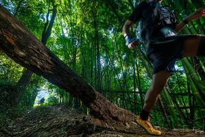 BIB: 
                            <button type="button" onclick="openModal(19000198)" class="btn btn-primary btn-sm float-right btn-popup" data-toggle="modal" data-target=".modal-high-quality">
                        <i class="fas fa-shopping-cart"></i> Add to Cart
                    </button>
                                            <button type="button" onclick="isThisMe(19000198, true)" class="btn btn-success btn-sm float-right btn-popup btn-isme hidden" data-toggle="tooltip" data-placement="bottom" title="นี่คือรูปของคุณใช่ไหม คลิกที่นี่เพื่อเอาเข้าอัลบั้ม">
                        <i class="fas fa-plus"></i> Add to album
                    </button>
                    <button type="button" onclick="isThisMe(19000198, false)" class="btn btn-warning btn-sm float-right btn-popup btn-isnotme hidden">
                        <i class="fas fa-ban"></i> Remove from album
                    </button>