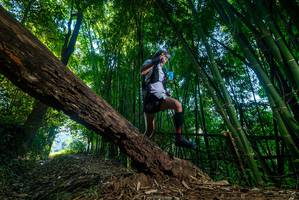 BIB: 
                            <button type="button" onclick="openModal(18994594)" class="btn btn-primary btn-sm float-right btn-popup" data-toggle="modal" data-target=".modal-high-quality">
                        <i class="fas fa-shopping-cart"></i> Add to Cart
                    </button>
                                            <button type="button" onclick="isThisMe(18994594, true)" class="btn btn-success btn-sm float-right btn-popup btn-isme hidden" data-toggle="tooltip" data-placement="bottom" title="นี่คือรูปของคุณใช่ไหม คลิกที่นี่เพื่อเอาเข้าอัลบั้ม">
                        <i class="fas fa-plus"></i> Add to album
                    </button>
                    <button type="button" onclick="isThisMe(18994594, false)" class="btn btn-warning btn-sm float-right btn-popup btn-isnotme hidden">
                        <i class="fas fa-ban"></i> Remove from album
                    </button>