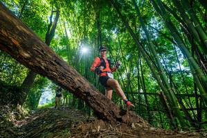 BIB: 
                            <button type="button" onclick="openModal(19054993)" class="btn btn-primary btn-sm float-right btn-popup" data-toggle="modal" data-target=".modal-high-quality">
                        <i class="fas fa-shopping-cart"></i> Add to Cart
                    </button>
                                            <button type="button" onclick="isThisMe(19054993, true)" class="btn btn-success btn-sm float-right btn-popup btn-isme hidden" data-toggle="tooltip" data-placement="bottom" title="นี่คือรูปของคุณใช่ไหม คลิกที่นี่เพื่อเอาเข้าอัลบั้ม">
                        <i class="fas fa-plus"></i> Add to album
                    </button>
                    <button type="button" onclick="isThisMe(19054993, false)" class="btn btn-warning btn-sm float-right btn-popup btn-isnotme hidden">
                        <i class="fas fa-ban"></i> Remove from album
                    </button>