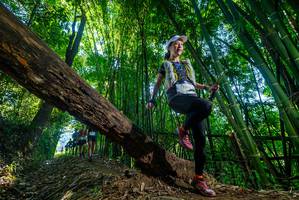 BIB: 2314
                            <button type="button" onclick="openModal(18997687)" class="btn btn-primary btn-sm float-right btn-popup" data-toggle="modal" data-target=".modal-high-quality">
                        <i class="fas fa-shopping-cart"></i> Add to Cart
                    </button>
                                            <button type="button" onclick="isThisMe(18997687, true)" class="btn btn-success btn-sm float-right btn-popup btn-isme hidden" data-toggle="tooltip" data-placement="bottom" title="นี่คือรูปของคุณใช่ไหม คลิกที่นี่เพื่อเอาเข้าอัลบั้ม">
                        <i class="fas fa-plus"></i> Add to album
                    </button>
                    <button type="button" onclick="isThisMe(18997687, false)" class="btn btn-warning btn-sm float-right btn-popup btn-isnotme hidden">
                        <i class="fas fa-ban"></i> Remove from album
                    </button>