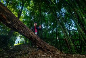 BIB: 
                            <button type="button" onclick="openModal(18990272)" class="btn btn-primary btn-sm float-right btn-popup" data-toggle="modal" data-target=".modal-high-quality">
                        <i class="fas fa-shopping-cart"></i> Add to Cart
                    </button>
                                            <button type="button" onclick="isThisMe(18990272, true)" class="btn btn-success btn-sm float-right btn-popup btn-isme hidden" data-toggle="tooltip" data-placement="bottom" title="นี่คือรูปของคุณใช่ไหม คลิกที่นี่เพื่อเอาเข้าอัลบั้ม">
                        <i class="fas fa-plus"></i> Add to album
                    </button>
                    <button type="button" onclick="isThisMe(18990272, false)" class="btn btn-warning btn-sm float-right btn-popup btn-isnotme hidden">
                        <i class="fas fa-ban"></i> Remove from album
                    </button>