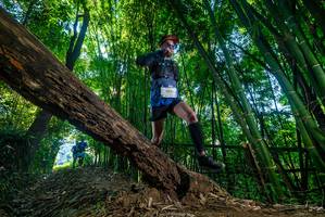 BIB: 2834
                            <button type="button" onclick="openModal(18989555)" class="btn btn-primary btn-sm float-right btn-popup" data-toggle="modal" data-target=".modal-high-quality">
                        <i class="fas fa-shopping-cart"></i> Add to Cart
                    </button>
                                            <button type="button" onclick="isThisMe(18989555, true)" class="btn btn-success btn-sm float-right btn-popup btn-isme hidden" data-toggle="tooltip" data-placement="bottom" title="นี่คือรูปของคุณใช่ไหม คลิกที่นี่เพื่อเอาเข้าอัลบั้ม">
                        <i class="fas fa-plus"></i> Add to album
                    </button>
                    <button type="button" onclick="isThisMe(18989555, false)" class="btn btn-warning btn-sm float-right btn-popup btn-isnotme hidden">
                        <i class="fas fa-ban"></i> Remove from album
                    </button>