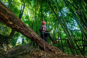 BIB: 
                            <button type="button" onclick="openModal(19055350)" class="btn btn-primary btn-sm float-right btn-popup" data-toggle="modal" data-target=".modal-high-quality">
                        <i class="fas fa-shopping-cart"></i> Add to Cart
                    </button>
                                            <button type="button" onclick="isThisMe(19055350, true)" class="btn btn-success btn-sm float-right btn-popup btn-isme hidden" data-toggle="tooltip" data-placement="bottom" title="นี่คือรูปของคุณใช่ไหม คลิกที่นี่เพื่อเอาเข้าอัลบั้ม">
                        <i class="fas fa-plus"></i> Add to album
                    </button>
                    <button type="button" onclick="isThisMe(19055350, false)" class="btn btn-warning btn-sm float-right btn-popup btn-isnotme hidden">
                        <i class="fas fa-ban"></i> Remove from album
                    </button>