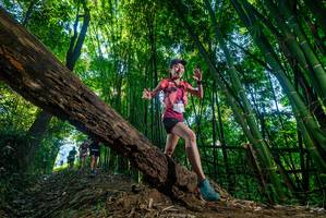 BIB: 
                            <button type="button" onclick="openModal(18989296)" class="btn btn-primary btn-sm float-right btn-popup" data-toggle="modal" data-target=".modal-high-quality">
                        <i class="fas fa-shopping-cart"></i> Add to Cart
                    </button>
                                            <button type="button" onclick="isThisMe(18989296, true)" class="btn btn-success btn-sm float-right btn-popup btn-isme hidden" data-toggle="tooltip" data-placement="bottom" title="นี่คือรูปของคุณใช่ไหม คลิกที่นี่เพื่อเอาเข้าอัลบั้ม">
                        <i class="fas fa-plus"></i> Add to album
                    </button>
                    <button type="button" onclick="isThisMe(18989296, false)" class="btn btn-warning btn-sm float-right btn-popup btn-isnotme hidden">
                        <i class="fas fa-ban"></i> Remove from album
                    </button>