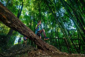 BIB: 
                            <button type="button" onclick="openModal(19000448)" class="btn btn-primary btn-sm float-right btn-popup" data-toggle="modal" data-target=".modal-high-quality">
                        <i class="fas fa-shopping-cart"></i> Add to Cart
                    </button>
                                            <button type="button" onclick="isThisMe(19000448, true)" class="btn btn-success btn-sm float-right btn-popup btn-isme hidden" data-toggle="tooltip" data-placement="bottom" title="นี่คือรูปของคุณใช่ไหม คลิกที่นี่เพื่อเอาเข้าอัลบั้ม">
                        <i class="fas fa-plus"></i> Add to album
                    </button>
                    <button type="button" onclick="isThisMe(19000448, false)" class="btn btn-warning btn-sm float-right btn-popup btn-isnotme hidden">
                        <i class="fas fa-ban"></i> Remove from album
                    </button>