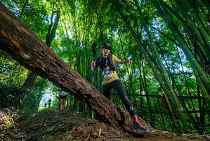 BIB: 
                            <button type="button" onclick="openModal(18998919)" class="btn btn-primary btn-sm float-right btn-popup" data-toggle="modal" data-target=".modal-high-quality">
                        <i class="fas fa-shopping-cart"></i> Add to Cart
                    </button>
                                            <button type="button" onclick="isThisMe(18998919, true)" class="btn btn-success btn-sm float-right btn-popup btn-isme hidden" data-toggle="tooltip" data-placement="bottom" title="นี่คือรูปของคุณใช่ไหม คลิกที่นี่เพื่อเอาเข้าอัลบั้ม">
                        <i class="fas fa-plus"></i> Add to album
                    </button>
                    <button type="button" onclick="isThisMe(18998919, false)" class="btn btn-warning btn-sm float-right btn-popup btn-isnotme hidden">
                        <i class="fas fa-ban"></i> Remove from album
                    </button>