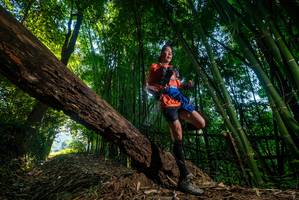 BIB: 
                            <button type="button" onclick="openModal(18989889)" class="btn btn-primary btn-sm float-right btn-popup" data-toggle="modal" data-target=".modal-high-quality">
                        <i class="fas fa-shopping-cart"></i> Add to Cart
                    </button>
                                            <button type="button" onclick="isThisMe(18989889, true)" class="btn btn-success btn-sm float-right btn-popup btn-isme hidden" data-toggle="tooltip" data-placement="bottom" title="นี่คือรูปของคุณใช่ไหม คลิกที่นี่เพื่อเอาเข้าอัลบั้ม">
                        <i class="fas fa-plus"></i> Add to album
                    </button>
                    <button type="button" onclick="isThisMe(18989889, false)" class="btn btn-warning btn-sm float-right btn-popup btn-isnotme hidden">
                        <i class="fas fa-ban"></i> Remove from album
                    </button>