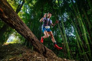 BIB: 2651
                            <button type="button" onclick="openModal(18986865)" class="btn btn-primary btn-sm float-right btn-popup" data-toggle="modal" data-target=".modal-high-quality">
                        <i class="fas fa-shopping-cart"></i> Add to Cart
                    </button>
                                            <button type="button" onclick="isThisMe(18986865, true)" class="btn btn-success btn-sm float-right btn-popup btn-isme hidden" data-toggle="tooltip" data-placement="bottom" title="นี่คือรูปของคุณใช่ไหม คลิกที่นี่เพื่อเอาเข้าอัลบั้ม">
                        <i class="fas fa-plus"></i> Add to album
                    </button>
                    <button type="button" onclick="isThisMe(18986865, false)" class="btn btn-warning btn-sm float-right btn-popup btn-isnotme hidden">
                        <i class="fas fa-ban"></i> Remove from album
                    </button>