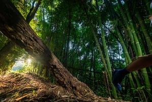 BIB: 
                            <button type="button" onclick="openModal(18986070)" class="btn btn-primary btn-sm float-right btn-popup" data-toggle="modal" data-target=".modal-high-quality">
                        <i class="fas fa-shopping-cart"></i> Add to Cart
                    </button>
                                            <button type="button" onclick="isThisMe(18986070, true)" class="btn btn-success btn-sm float-right btn-popup btn-isme hidden" data-toggle="tooltip" data-placement="bottom" title="นี่คือรูปของคุณใช่ไหม คลิกที่นี่เพื่อเอาเข้าอัลบั้ม">
                        <i class="fas fa-plus"></i> Add to album
                    </button>
                    <button type="button" onclick="isThisMe(18986070, false)" class="btn btn-warning btn-sm float-right btn-popup btn-isnotme hidden">
                        <i class="fas fa-ban"></i> Remove from album
                    </button>