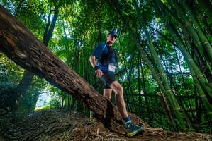 BIB: 193
                            <button type="button" onclick="openModal(18989532)" class="btn btn-primary btn-sm float-right btn-popup" data-toggle="modal" data-target=".modal-high-quality">
                        <i class="fas fa-shopping-cart"></i> Add to Cart
                    </button>
                                            <button type="button" onclick="isThisMe(18989532, true)" class="btn btn-success btn-sm float-right btn-popup btn-isme hidden" data-toggle="tooltip" data-placement="bottom" title="นี่คือรูปของคุณใช่ไหม คลิกที่นี่เพื่อเอาเข้าอัลบั้ม">
                        <i class="fas fa-plus"></i> Add to album
                    </button>
                    <button type="button" onclick="isThisMe(18989532, false)" class="btn btn-warning btn-sm float-right btn-popup btn-isnotme hidden">
                        <i class="fas fa-ban"></i> Remove from album
                    </button>