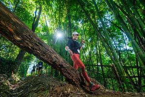 BIB: 
                            <button type="button" onclick="openModal(19054715)" class="btn btn-primary btn-sm float-right btn-popup" data-toggle="modal" data-target=".modal-high-quality">
                        <i class="fas fa-shopping-cart"></i> Add to Cart
                    </button>
                                            <button type="button" onclick="isThisMe(19054715, true)" class="btn btn-success btn-sm float-right btn-popup btn-isme hidden" data-toggle="tooltip" data-placement="bottom" title="นี่คือรูปของคุณใช่ไหม คลิกที่นี่เพื่อเอาเข้าอัลบั้ม">
                        <i class="fas fa-plus"></i> Add to album
                    </button>
                    <button type="button" onclick="isThisMe(19054715, false)" class="btn btn-warning btn-sm float-right btn-popup btn-isnotme hidden">
                        <i class="fas fa-ban"></i> Remove from album
                    </button>