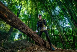 BIB: 
                            <button type="button" onclick="openModal(18996662)" class="btn btn-primary btn-sm float-right btn-popup" data-toggle="modal" data-target=".modal-high-quality">
                        <i class="fas fa-shopping-cart"></i> Add to Cart
                    </button>
                                            <button type="button" onclick="isThisMe(18996662, true)" class="btn btn-success btn-sm float-right btn-popup btn-isme hidden" data-toggle="tooltip" data-placement="bottom" title="นี่คือรูปของคุณใช่ไหม คลิกที่นี่เพื่อเอาเข้าอัลบั้ม">
                        <i class="fas fa-plus"></i> Add to album
                    </button>
                    <button type="button" onclick="isThisMe(18996662, false)" class="btn btn-warning btn-sm float-right btn-popup btn-isnotme hidden">
                        <i class="fas fa-ban"></i> Remove from album
                    </button>