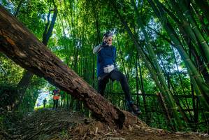 BIB: 
                            <button type="button" onclick="openModal(18995056)" class="btn btn-primary btn-sm float-right btn-popup" data-toggle="modal" data-target=".modal-high-quality">
                        <i class="fas fa-shopping-cart"></i> Add to Cart
                    </button>
                                            <button type="button" onclick="isThisMe(18995056, true)" class="btn btn-success btn-sm float-right btn-popup btn-isme hidden" data-toggle="tooltip" data-placement="bottom" title="นี่คือรูปของคุณใช่ไหม คลิกที่นี่เพื่อเอาเข้าอัลบั้ม">
                        <i class="fas fa-plus"></i> Add to album
                    </button>
                    <button type="button" onclick="isThisMe(18995056, false)" class="btn btn-warning btn-sm float-right btn-popup btn-isnotme hidden">
                        <i class="fas fa-ban"></i> Remove from album
                    </button>