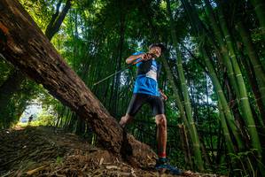 BIB: 
                            <button type="button" onclick="openModal(18986788)" class="btn btn-primary btn-sm float-right btn-popup" data-toggle="modal" data-target=".modal-high-quality">
                        <i class="fas fa-shopping-cart"></i> Add to Cart
                    </button>
                                            <button type="button" onclick="isThisMe(18986788, true)" class="btn btn-success btn-sm float-right btn-popup btn-isme hidden" data-toggle="tooltip" data-placement="bottom" title="นี่คือรูปของคุณใช่ไหม คลิกที่นี่เพื่อเอาเข้าอัลบั้ม">
                        <i class="fas fa-plus"></i> Add to album
                    </button>
                    <button type="button" onclick="isThisMe(18986788, false)" class="btn btn-warning btn-sm float-right btn-popup btn-isnotme hidden">
                        <i class="fas fa-ban"></i> Remove from album
                    </button>