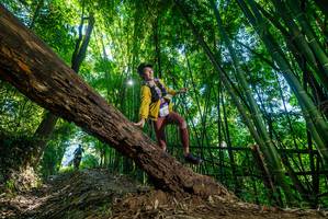 BIB: 
                            <button type="button" onclick="openModal(19002746)" class="btn btn-primary btn-sm float-right btn-popup" data-toggle="modal" data-target=".modal-high-quality">
                        <i class="fas fa-shopping-cart"></i> Add to Cart
                    </button>
                                            <button type="button" onclick="isThisMe(19002746, true)" class="btn btn-success btn-sm float-right btn-popup btn-isme hidden" data-toggle="tooltip" data-placement="bottom" title="นี่คือรูปของคุณใช่ไหม คลิกที่นี่เพื่อเอาเข้าอัลบั้ม">
                        <i class="fas fa-plus"></i> Add to album
                    </button>
                    <button type="button" onclick="isThisMe(19002746, false)" class="btn btn-warning btn-sm float-right btn-popup btn-isnotme hidden">
                        <i class="fas fa-ban"></i> Remove from album
                    </button>