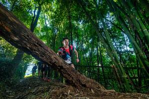 BIB: 
                            <button type="button" onclick="openModal(18990348)" class="btn btn-primary btn-sm float-right btn-popup" data-toggle="modal" data-target=".modal-high-quality">
                        <i class="fas fa-shopping-cart"></i> Add to Cart
                    </button>
                                            <button type="button" onclick="isThisMe(18990348, true)" class="btn btn-success btn-sm float-right btn-popup btn-isme hidden" data-toggle="tooltip" data-placement="bottom" title="นี่คือรูปของคุณใช่ไหม คลิกที่นี่เพื่อเอาเข้าอัลบั้ม">
                        <i class="fas fa-plus"></i> Add to album
                    </button>
                    <button type="button" onclick="isThisMe(18990348, false)" class="btn btn-warning btn-sm float-right btn-popup btn-isnotme hidden">
                        <i class="fas fa-ban"></i> Remove from album
                    </button>